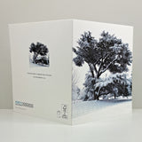 FH Sq Cedar Tree Christmas Card