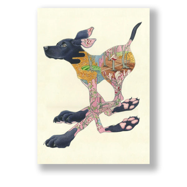 Black Labrador - The DM Collection card