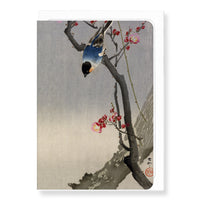 Bullfinch Bird Ezen Card