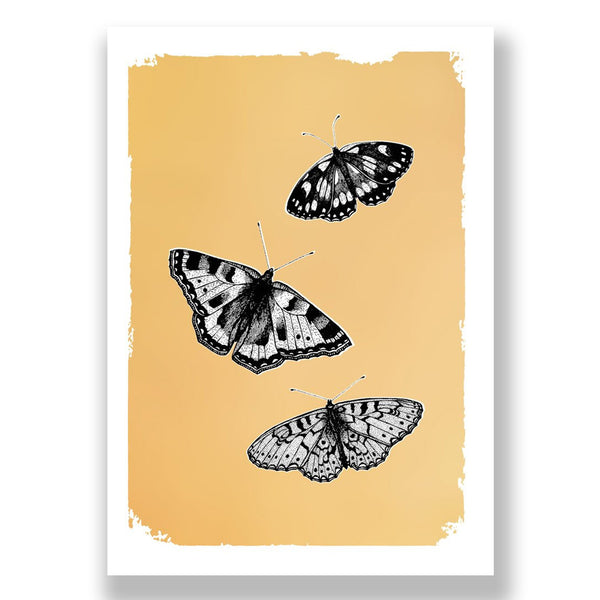 Butterflies - Drawn in Gold