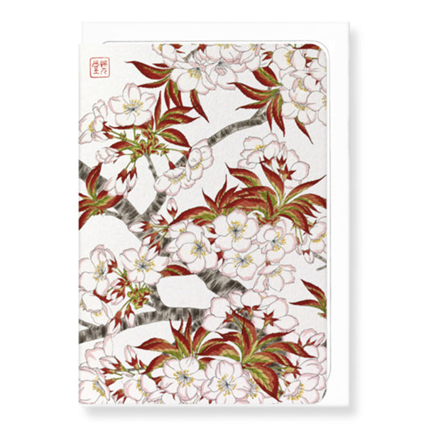 Cherry Blossoms Ezen Card