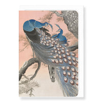 Couple of Peacocks Ezen Card