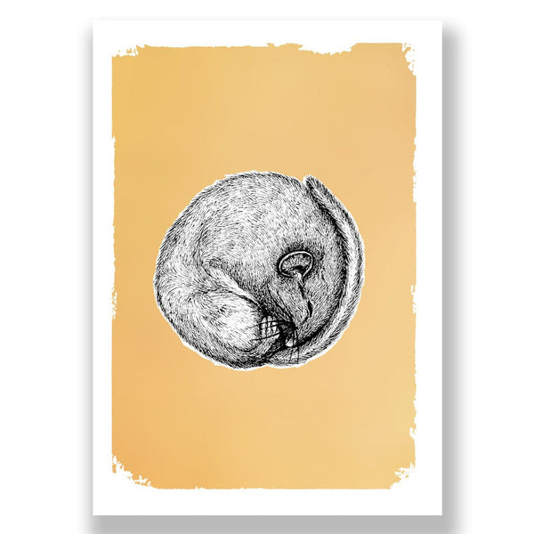 Dormouse - Drawn in Gold