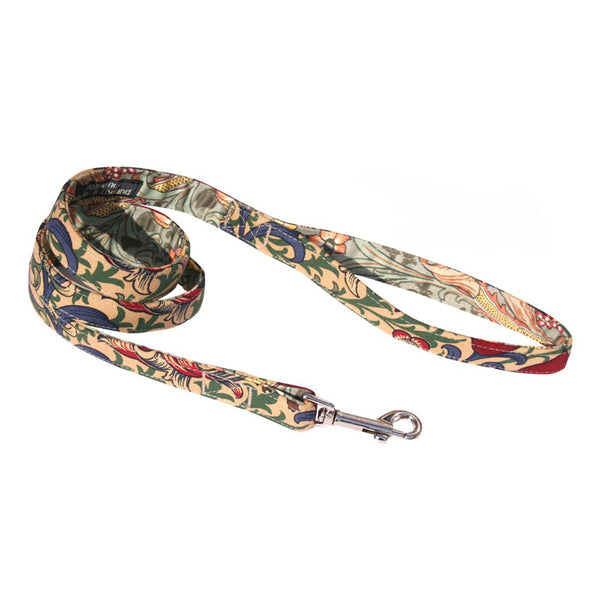 Golden Lily Dog Lead