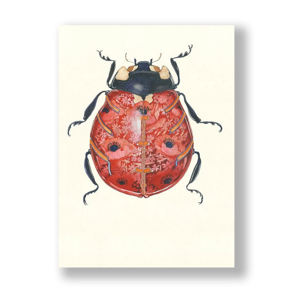 Ladybird - The DM Collection card