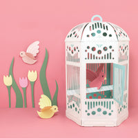 Make your own Beautiful Birdcage