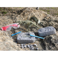 Dinosaur Excavation Gift in a Tin